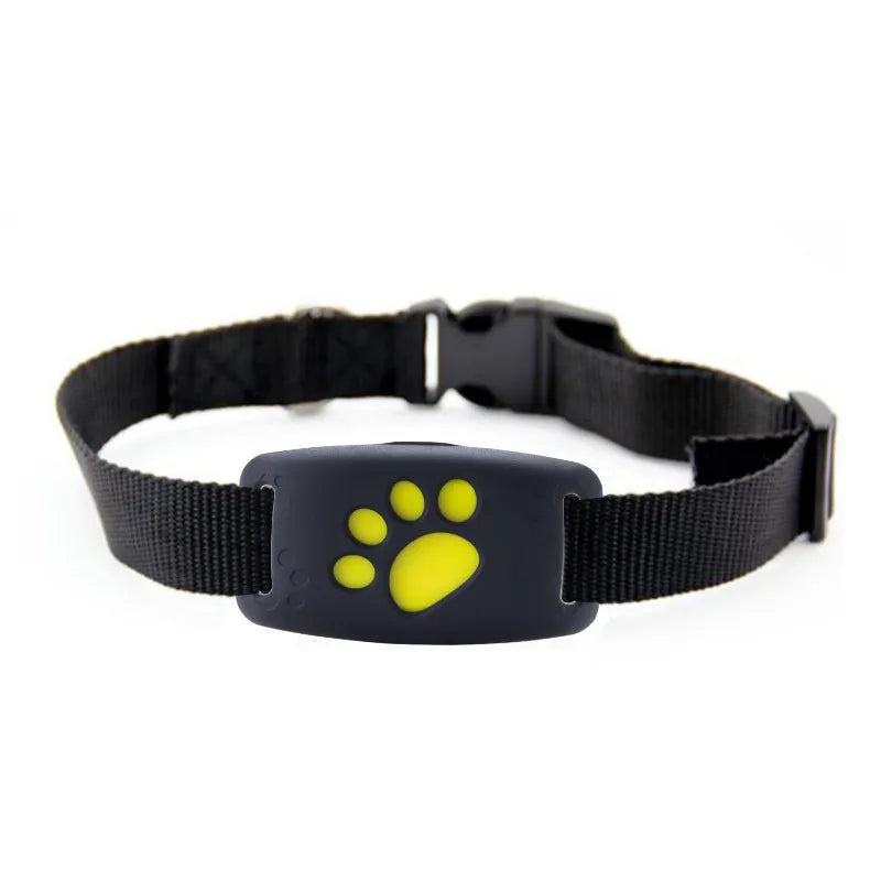 GPS-tracker for hund med sanntidssporing