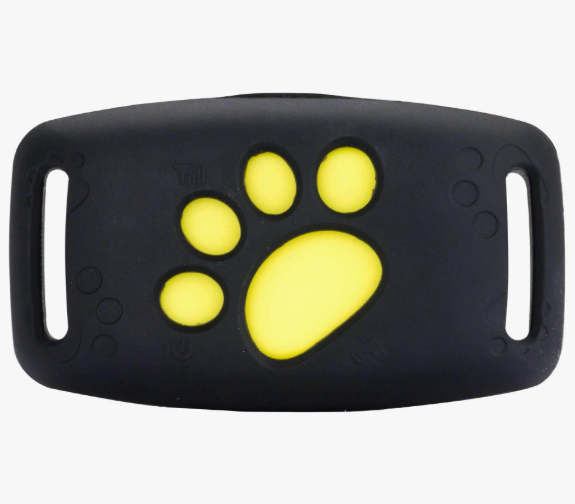GPS-tracker for hund med sanntidssporing