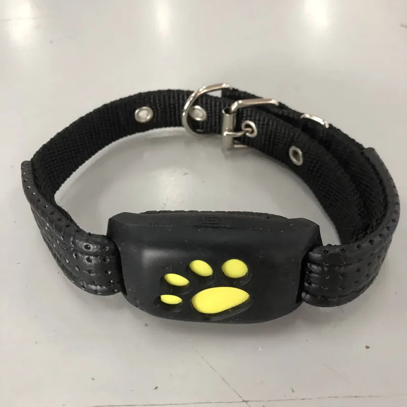 GPS-tracker for hund med sanntidssporing