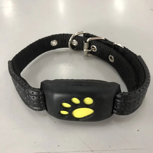 GPS-tracker for hund med sanntidssporing