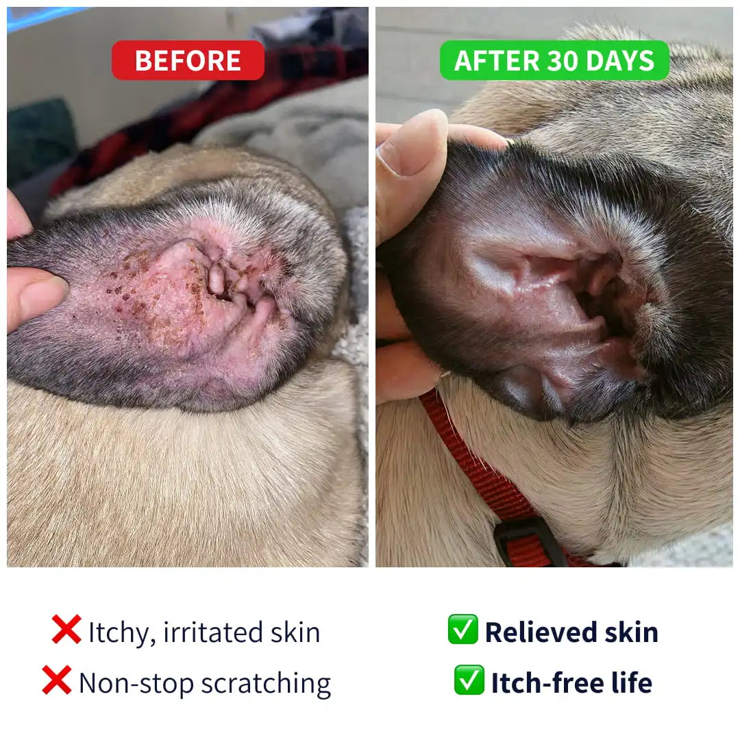 Tipaw Hud & pels til hund (Allergy & Itch) – 60 myke tyggebiter