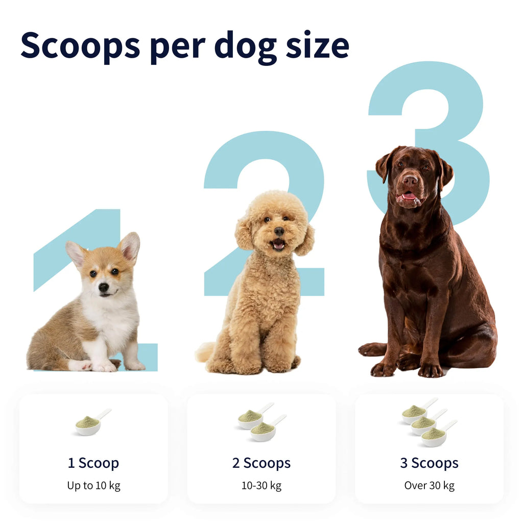 Tipaw Tannpleiepulver til hund – 120 g