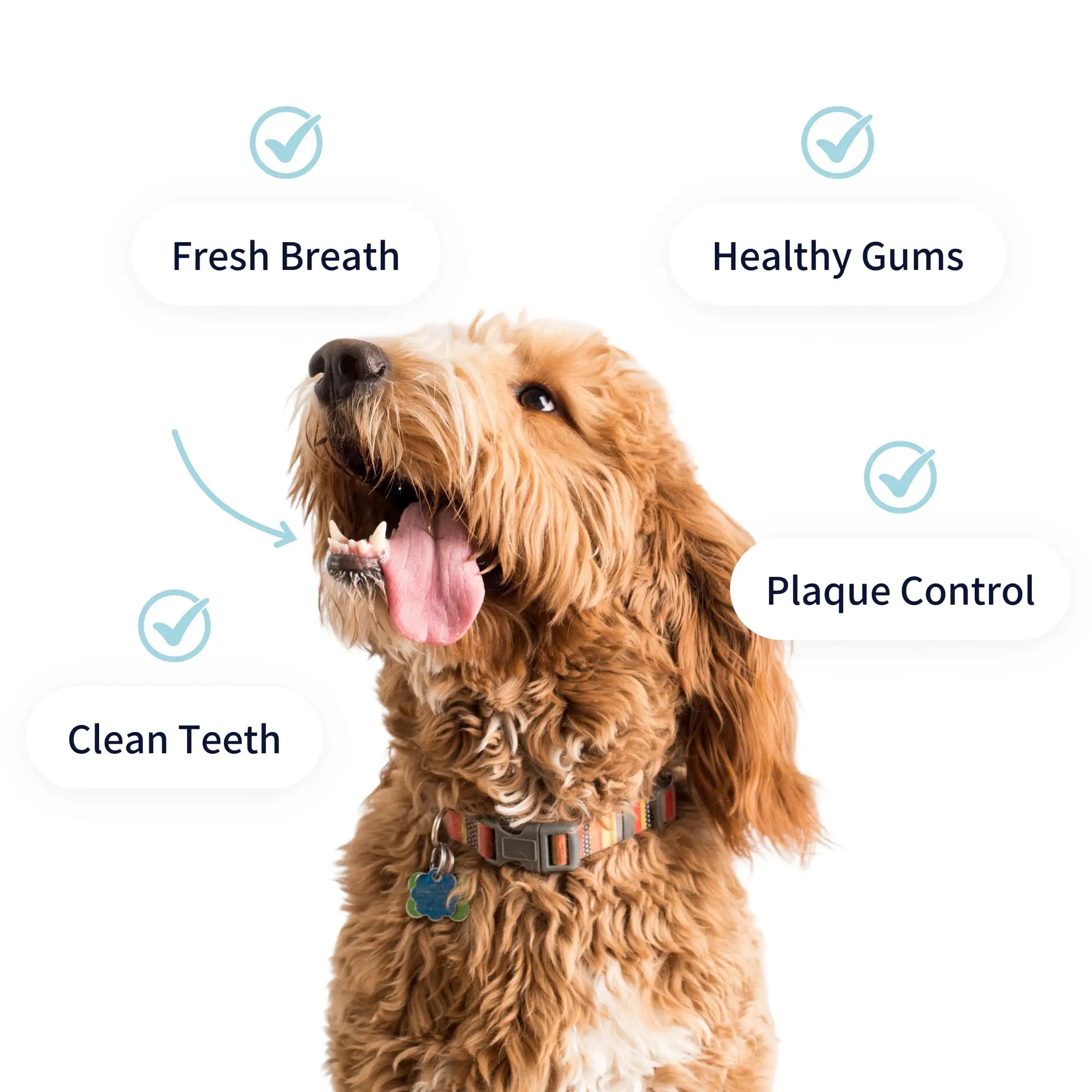 Tipaw Tannpleiepulver til hund – 120 g