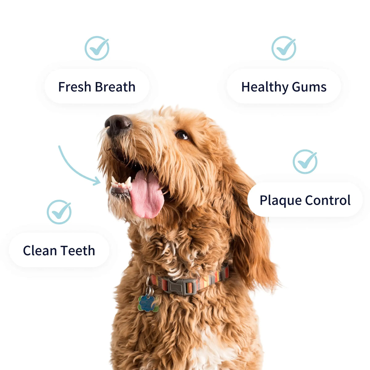Tipaw Tannpleiepulver til hund – 120 g