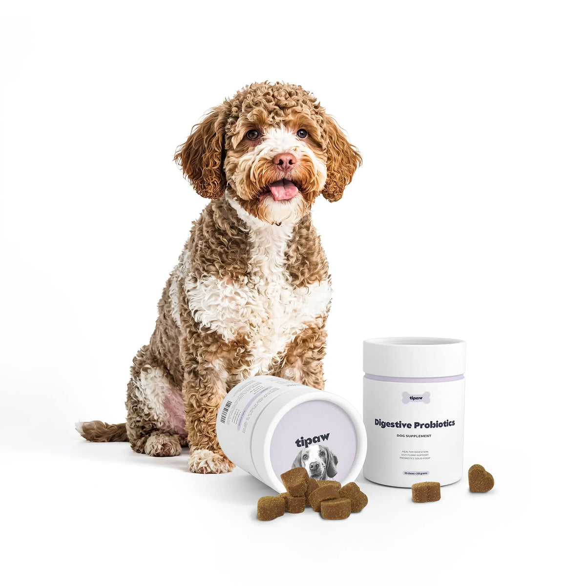 Tipaw Probiotika til hund – 60 myke tyggebiter
