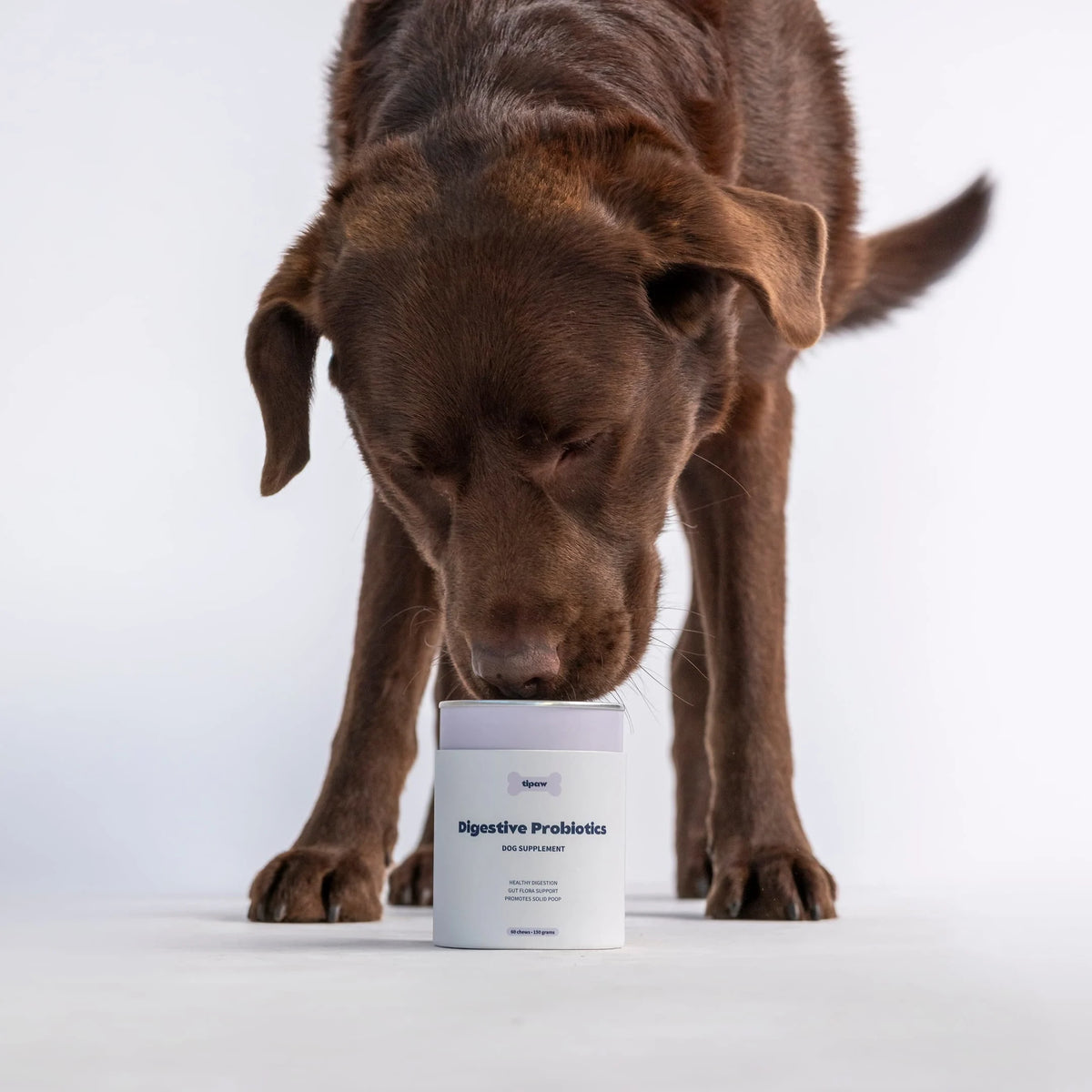 Tipaw Probiotika til hund – 60 myke tyggebiter
