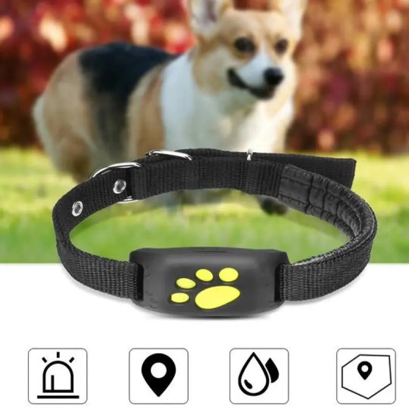 GPS-tracker for hund med sanntidssporing